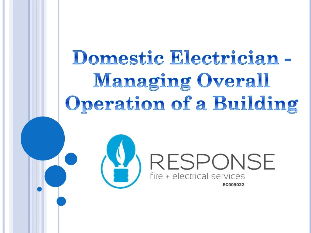 domestic electrician managing overall operation