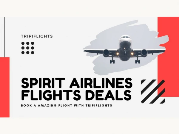 Book your Cheap Flight Tickets | Spirit Airlines Deals | Tripiflights!