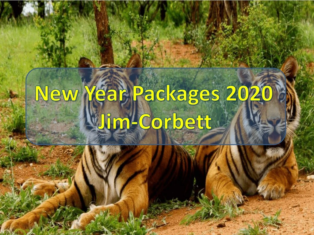 new year packages 2020 jim corbett