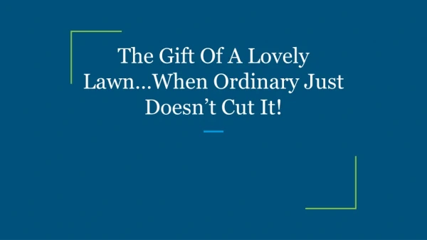 The Gift Of A Lovely Lawn…When Ordinary Just Doesn’t Cut It!