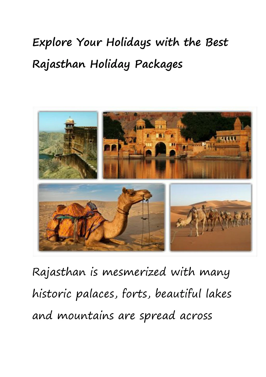 explore your holidays with the best rajasthan