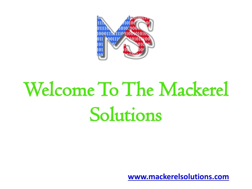 welcome to the mackerel solutions