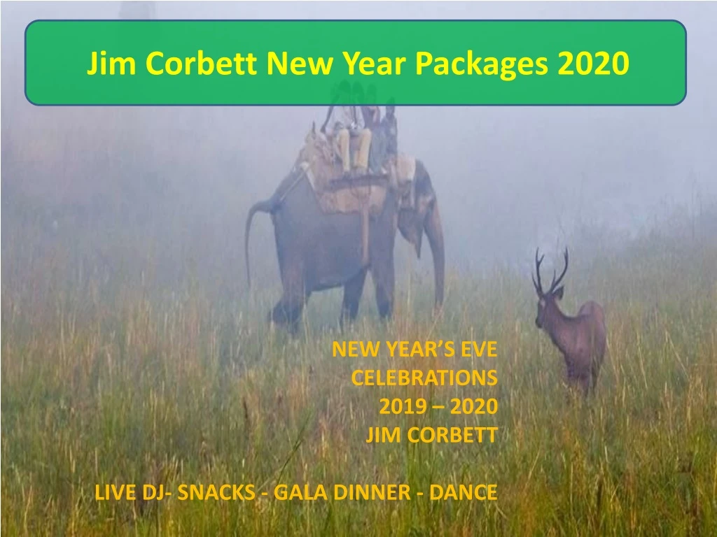 jim corbett new year packages 2020