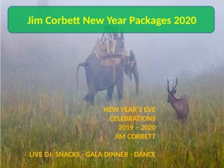 Jim Corbett New Year Celebrations