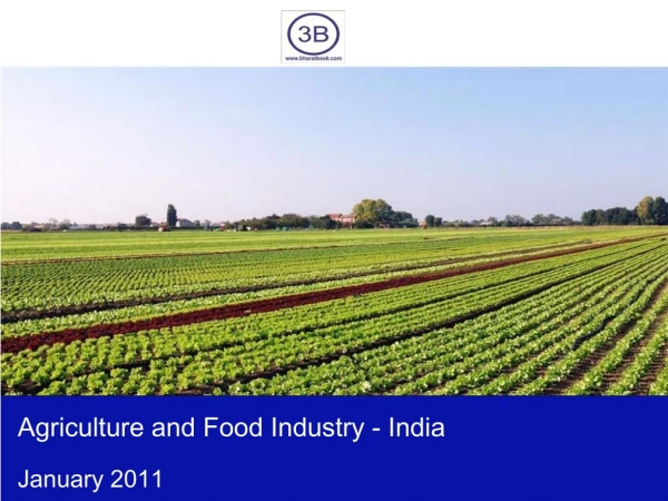 Agriculture and Food Industry in India 2011