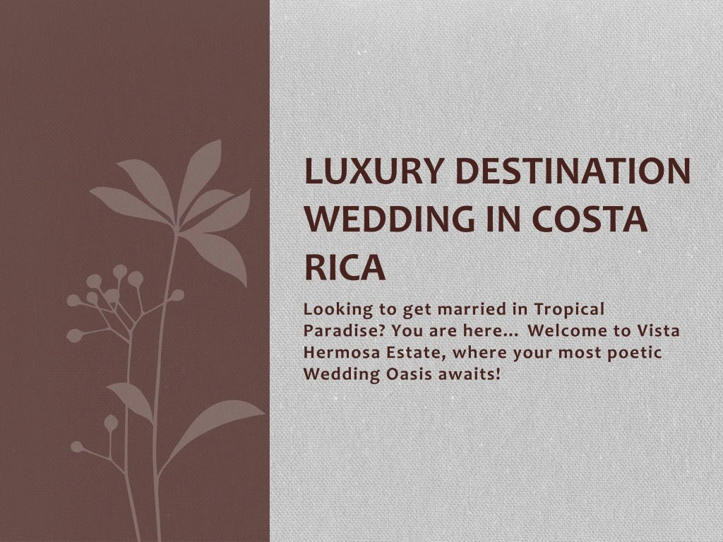 luxury destination wedding in costa rica