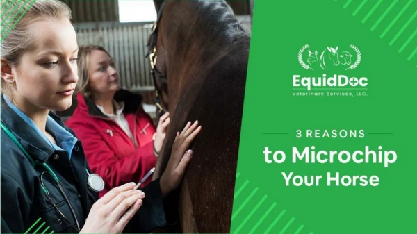 3 Reasons to Microchip Your Horse (Or Goat or Alpaca)
