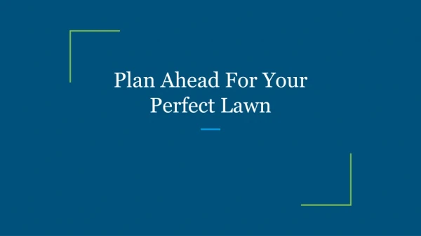 Plan Ahead For Your Perfect Lawn