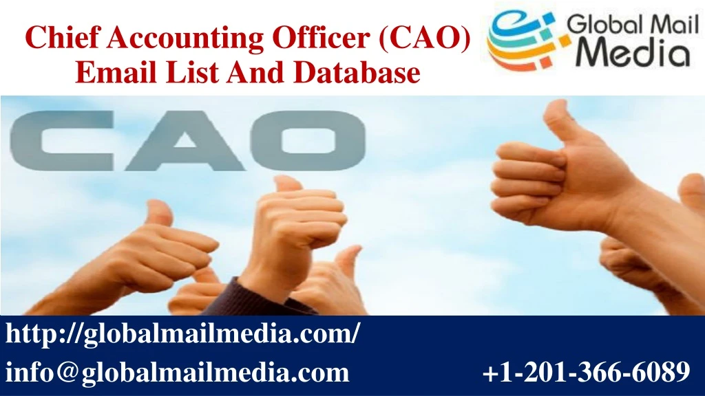 chief accounting officer cao email list and database