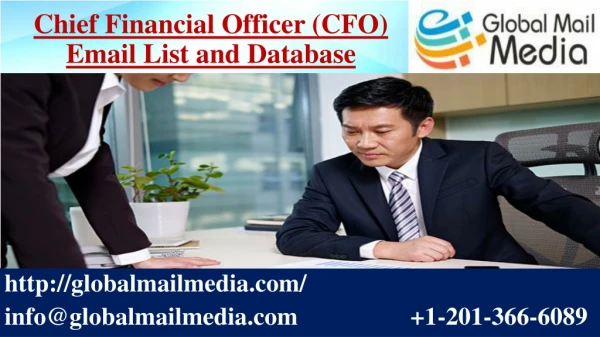 chief financial officer cfo email list and database
