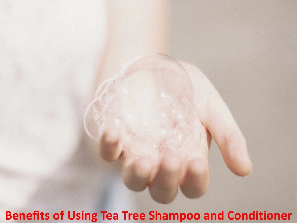 benefits of using tea tree shampoo and conditioner
