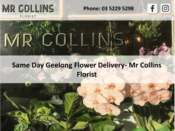 Same Day Geelong Flower Delivery- Mr Collins Florist