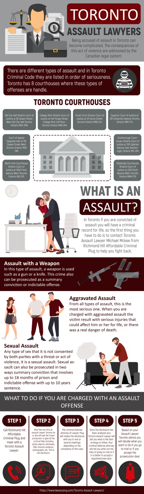 Toronto Domestic Assault