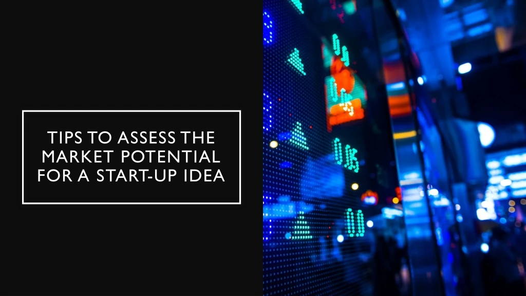 tips to assess the market potential for a start up idea