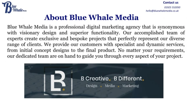 Warrington Seo / Blue Whale Media Ltd