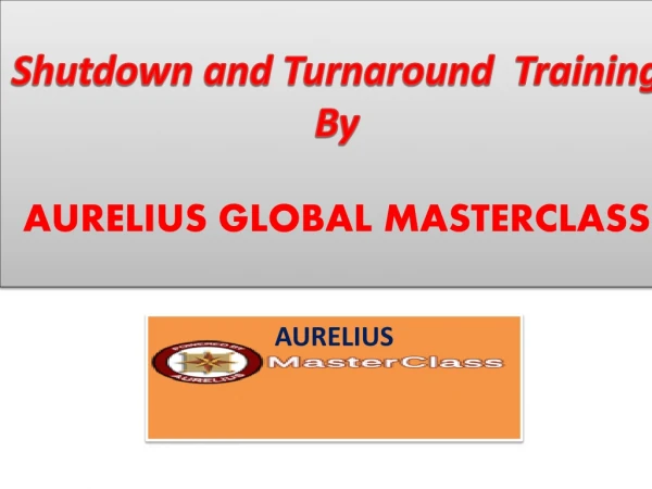 Shutdown and Turnaround Training In Europe.