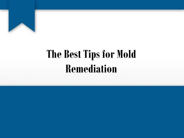 Tips for Mold Remediation