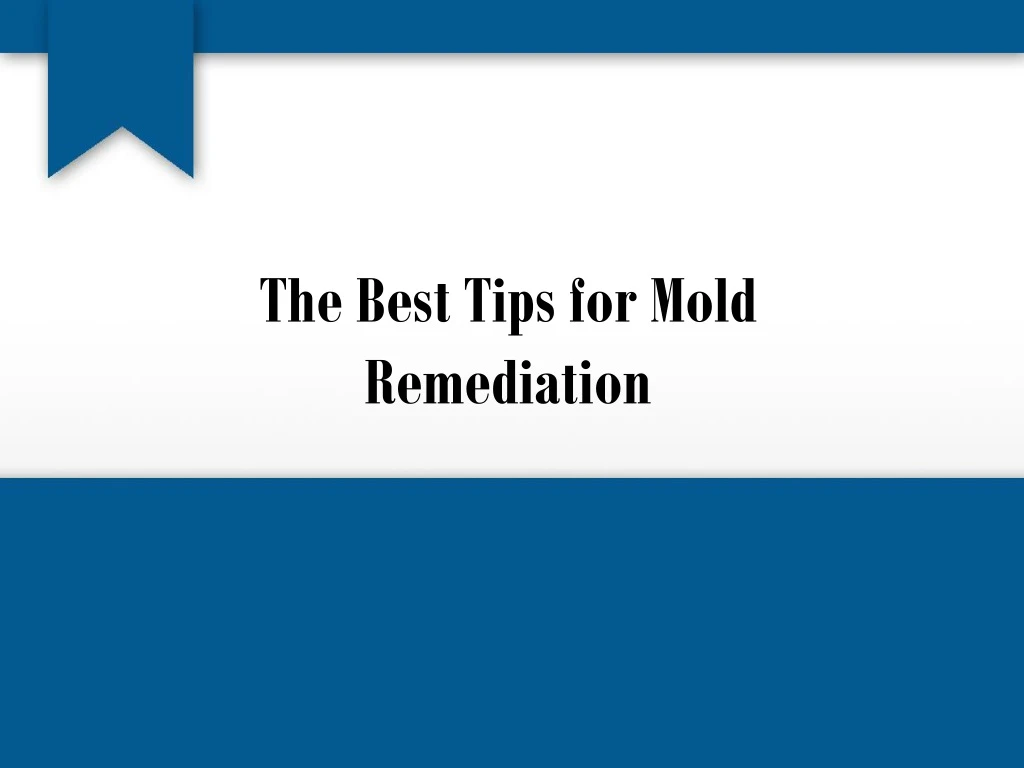 the best tips for mold remediation