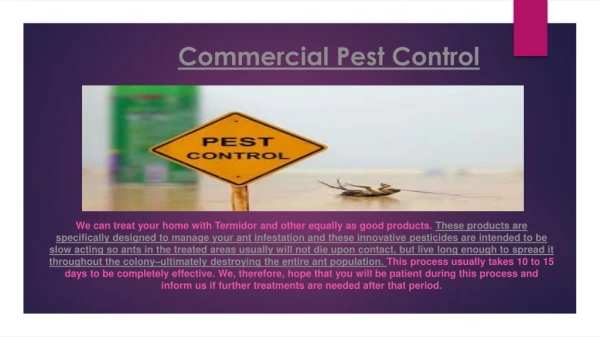 commercial pest control