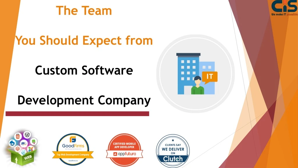the team you should expect from custom software development company