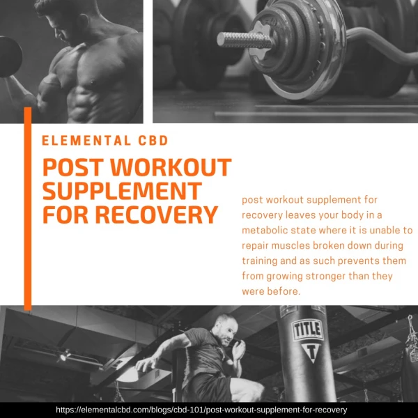 post workout supplement for recovery | Elemental CBD