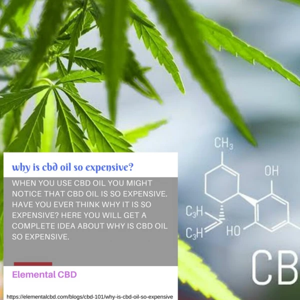 why is cbd oil so expensive | Elemental CBD
