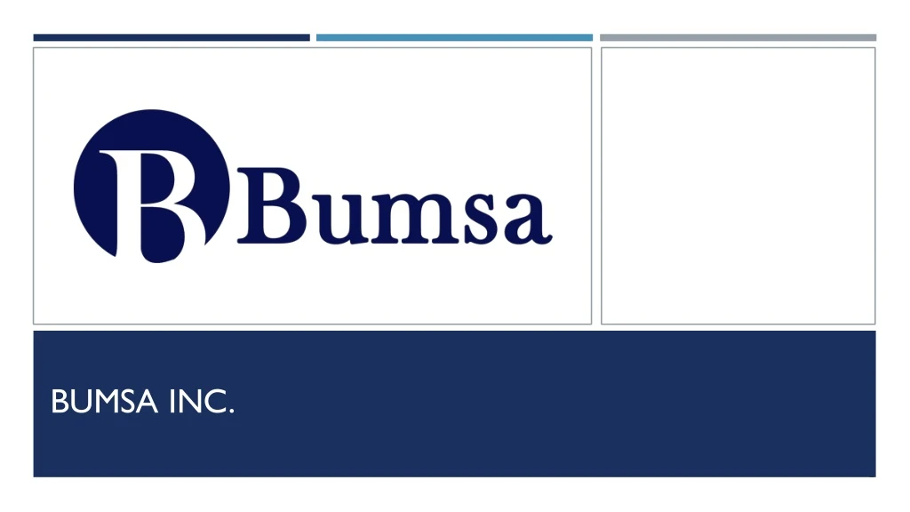 bumsa inc