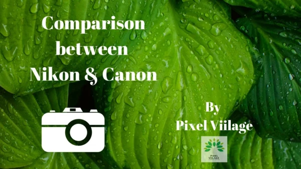 Nikon Vs Canon Camera Comparison- By Pixel Viilage