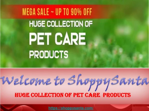 Huge Collection of Pet Care Products
