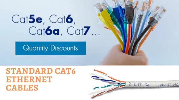 Standard Cat6 Cables - FruityCables