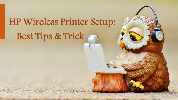 HP Wireless Printer Setup - Best Tips & Trick