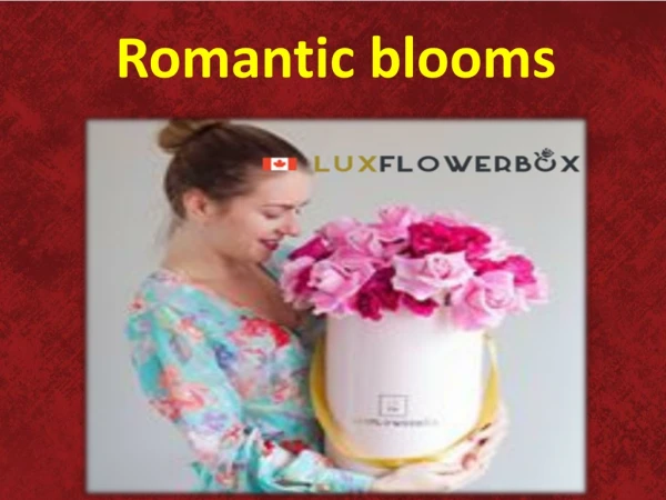 Romantic blooms