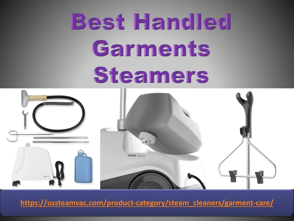best handled garments steamers