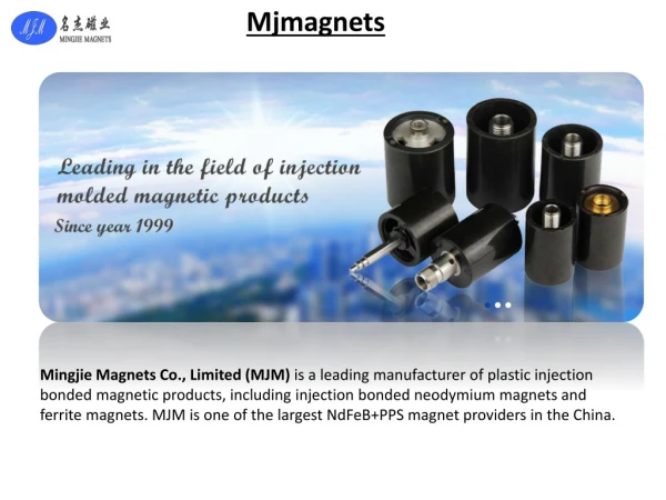 Best injection cerimic magnets supplied by China