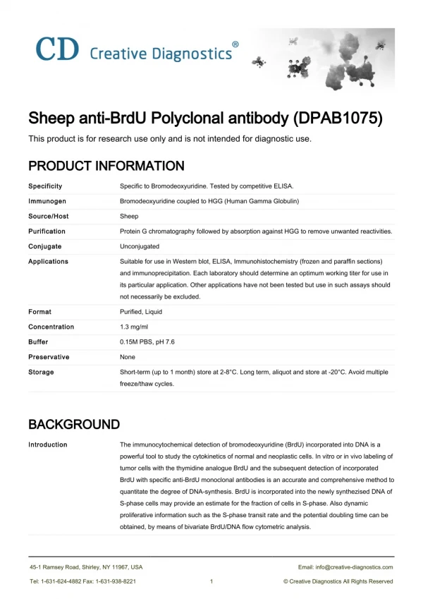 anti brdu antibody