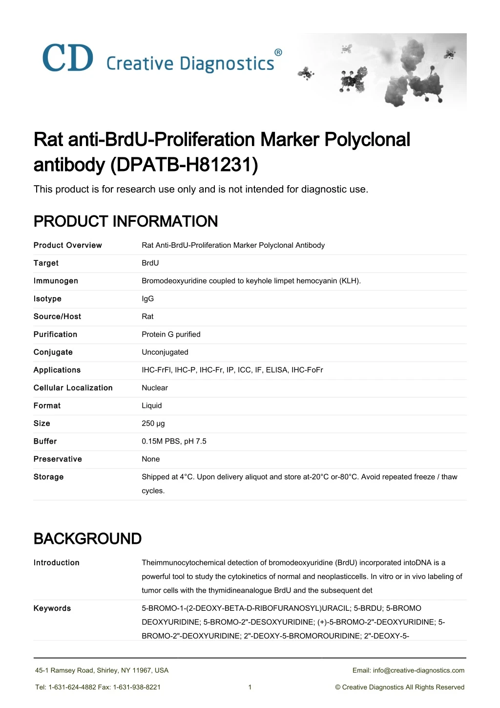rat anti brdu proliferation marker polyclonal