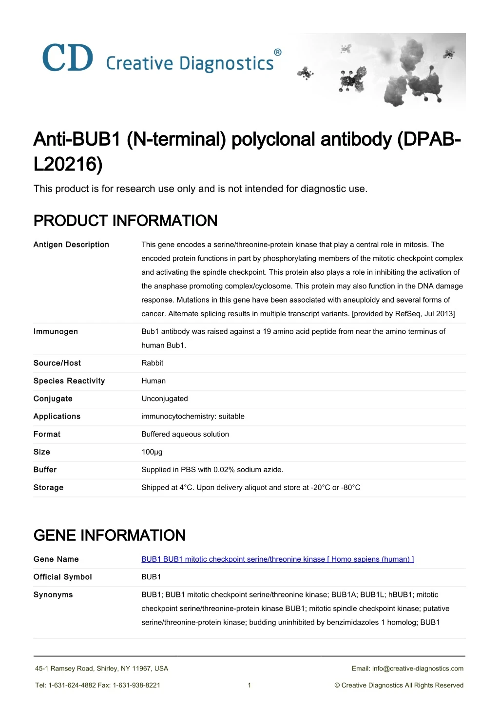 anti bub1 n terminal polyclonal antibody dpab