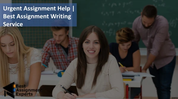Urgent Assignment Help | Best Assignment Writing Service