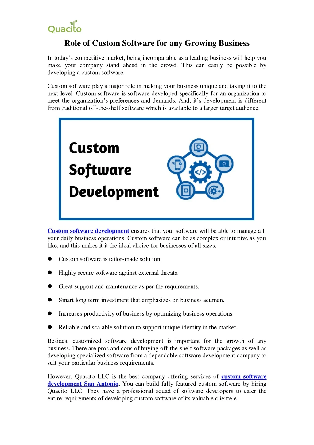 role of custom software for any growing business