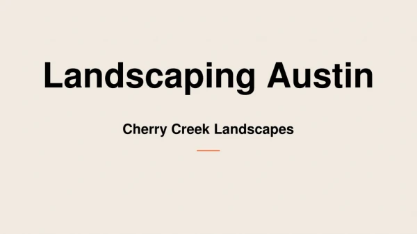 Choose the best Landscaping Service In Austin