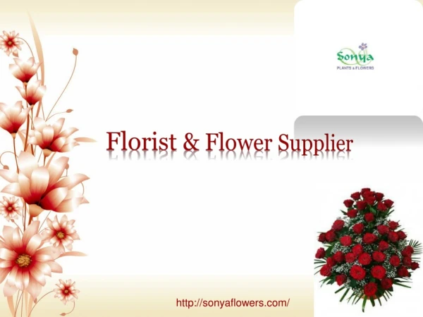 Best Floral & Florist design supplier in Dubai, UAE