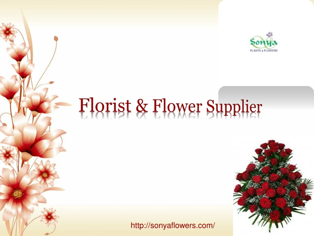 florist flower supplier