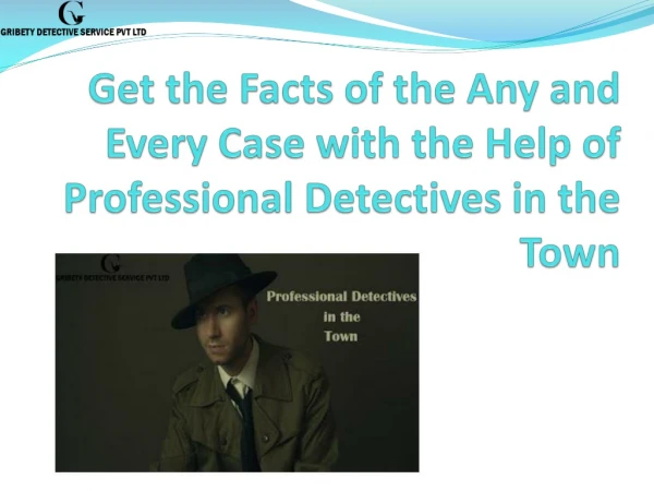 Professional Detectives in the Town