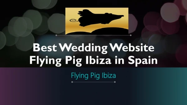 Best Wedding Website Flying Pig Ibiza in Spain
