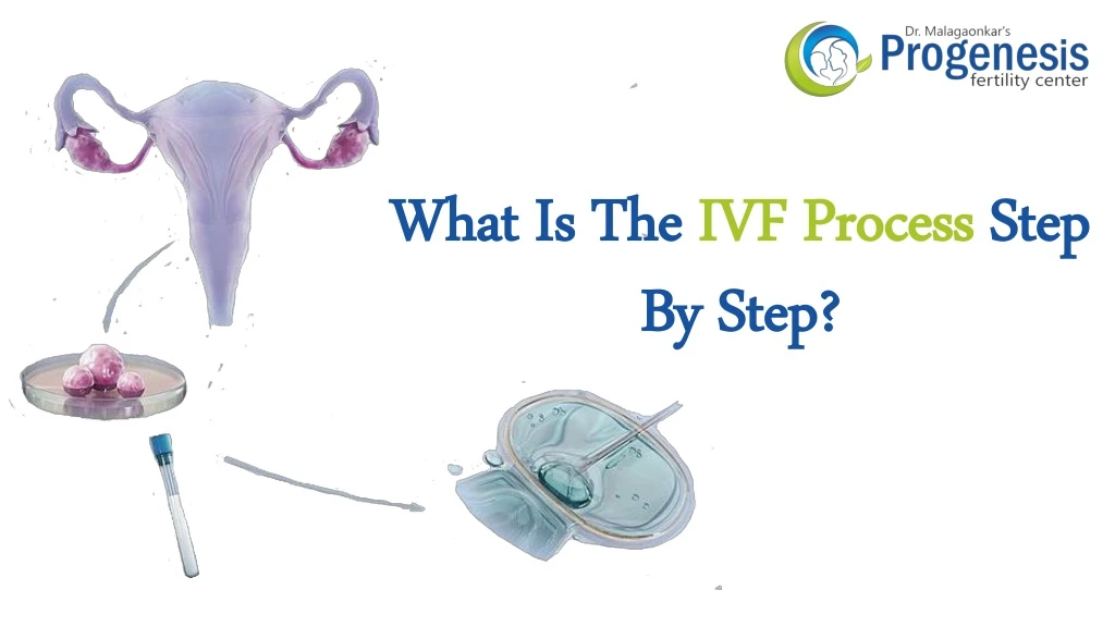what is the ivf process step by step