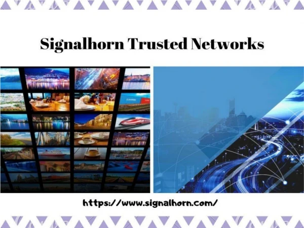 Terrestrial Network Services - Signalhorn Trusted Networks