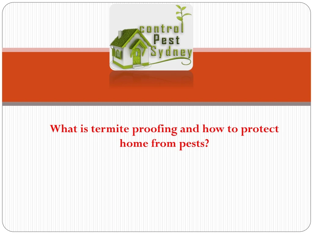 what is termite proofing and how to protect home