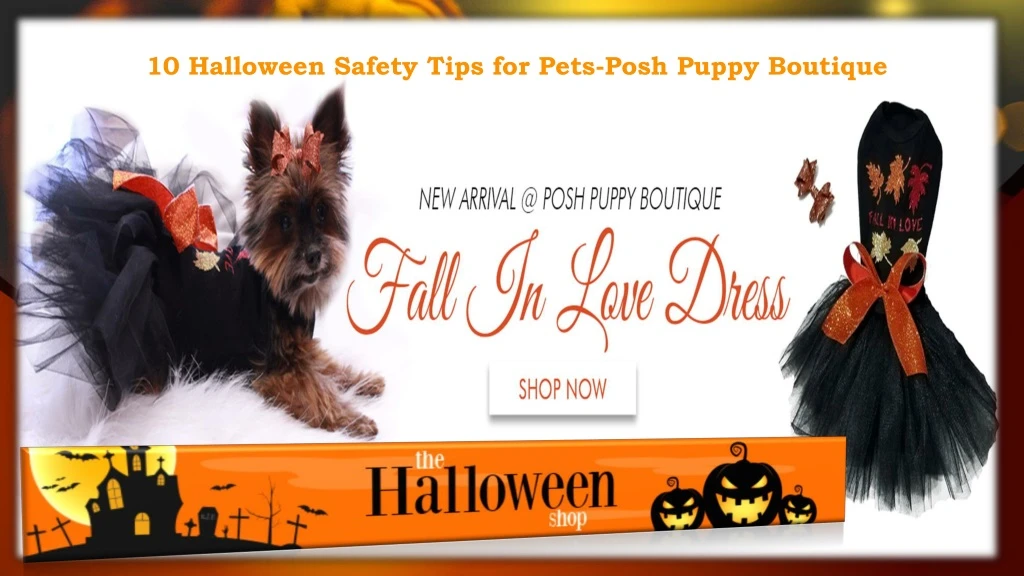 10 halloween safety tips for pets posh puppy