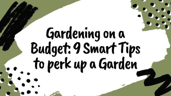 Gardening on a Budget