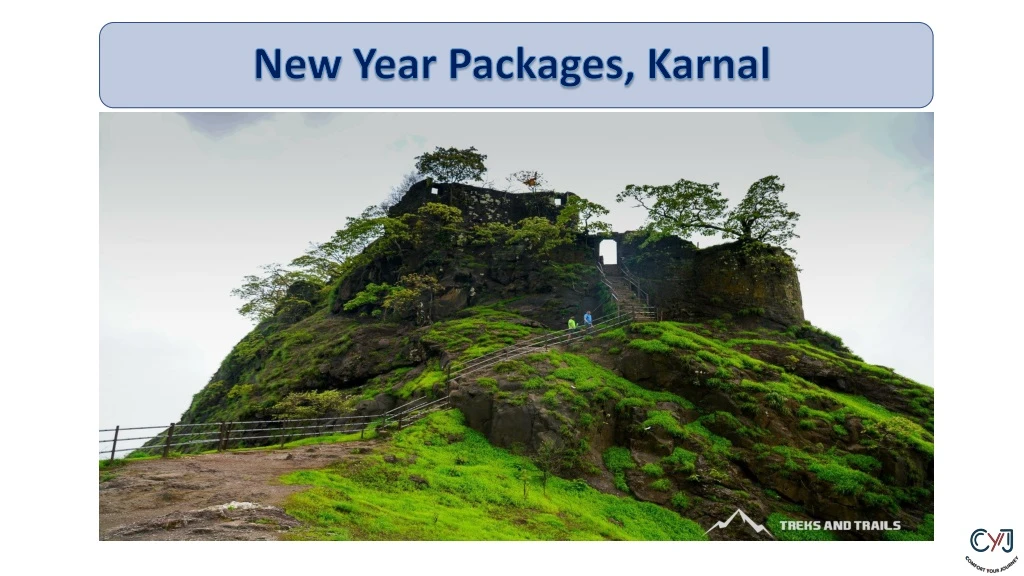 new year packages karnal